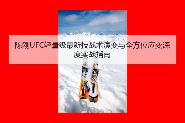 陈刚UFC轻量级最新技战术演变与全方位应变深度实战指南