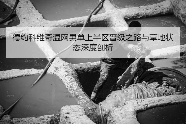 德约科维奇温网男单上半区晋级之路与草地状态深度剖析